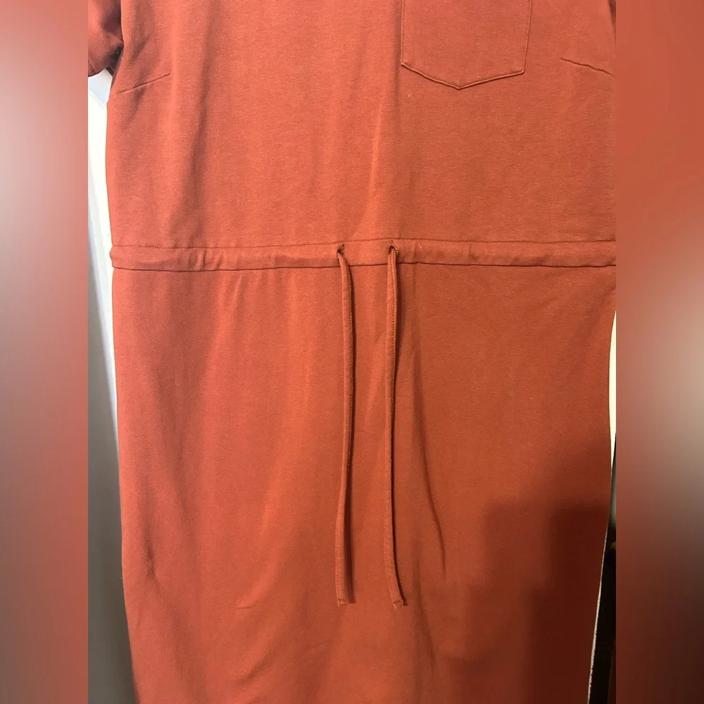 Main Street Exchange Terracotta Dress - Picture 3 of 4